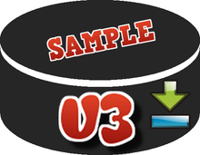 Load image into Gallery viewer, 4th Street Hockey v3 Computer Game Demo